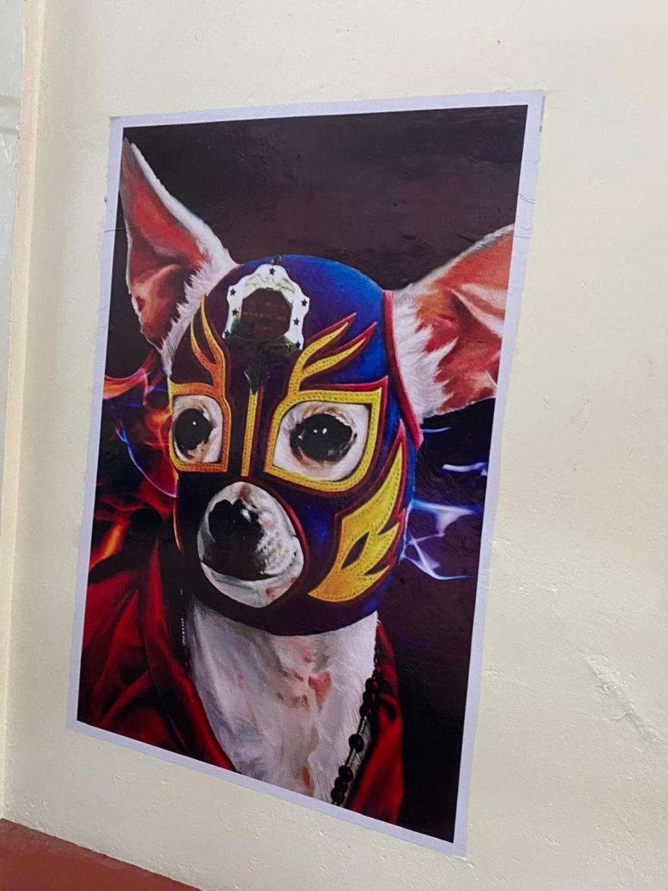 Mil Mascaras Hotel Oaxaca Kültér fotó